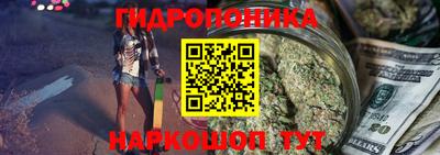 гидропоника Краснознаменск